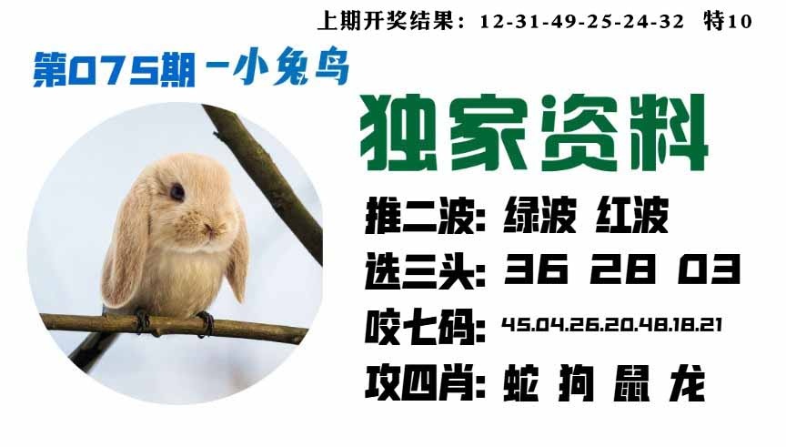 075期小兔鸟[图]