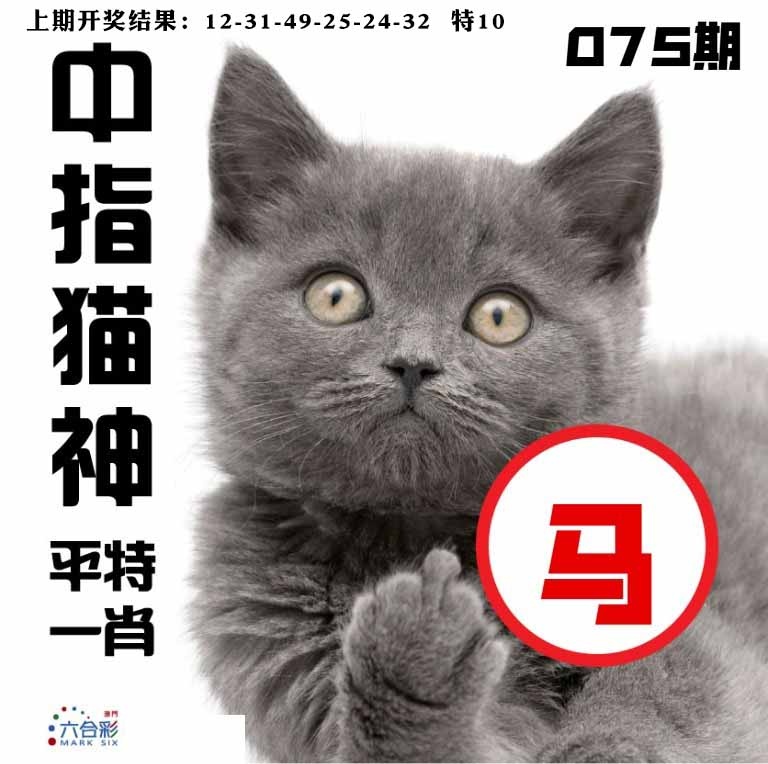 075期中指猫神[图]