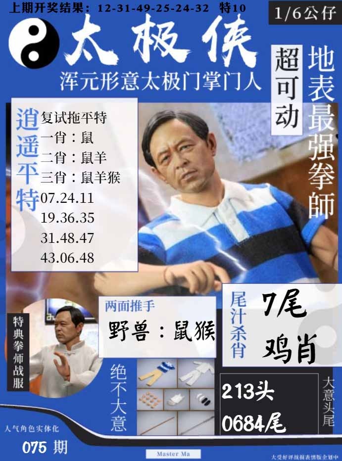 075期太极侠[图]